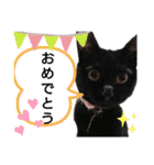 黒猫にこちゃんの日常使いスタンプ（個別スタンプ：8）