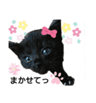黒猫にこちゃんの日常使いスタンプ（個別スタンプ：9）