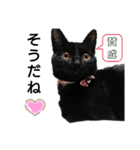 黒猫にこちゃんの日常使いスタンプ（個別スタンプ：14）