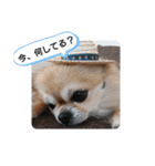 黒猫にこちゃんの日常使いスタンプ（個別スタンプ：27）