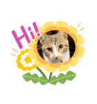 happy@みかん（個別スタンプ：1）