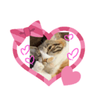 happy@みかん（個別スタンプ：4）