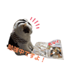 hanaten2（個別スタンプ：2）