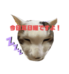 hanaten2（個別スタンプ：4）