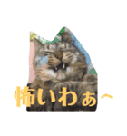 hanaten2（個別スタンプ：5）