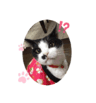 hanaten2（個別スタンプ：6）