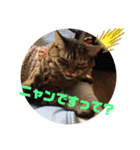 hanaten2（個別スタンプ：8）
