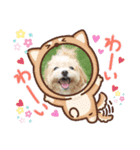 マルチーズ×プードルの日常【マルプー犬】（個別スタンプ：7）