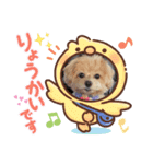 マルチーズ×プードルの日常【マルプー犬】（個別スタンプ：9）