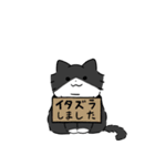 長毛黒白ハチワレにゃんこ3（個別スタンプ：34）