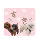 ぎょくちゃばII（個別スタンプ：1）