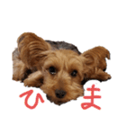 るると一緒（個別スタンプ：3）