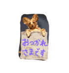 るると一緒（個別スタンプ：4）