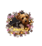 るると一緒（個別スタンプ：5）