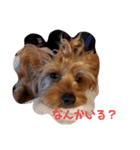 るると一緒（個別スタンプ：6）