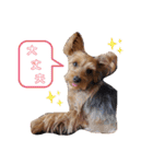 るると一緒（個別スタンプ：11）