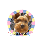 るると一緒（個別スタンプ：20）