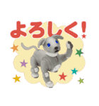 aibo 第3弾（個別スタンプ：1）