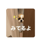 もぐただよ（個別スタンプ：1）