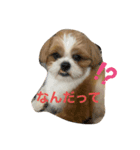 もぐただよ（個別スタンプ：3）