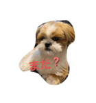 もぐただよ（個別スタンプ：5）