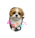 もぐただよ（個別スタンプ：7）