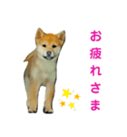 クリちゃん☆2（個別スタンプ：1）