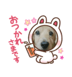 はしもっちゃんスタンプ（個別スタンプ：2）