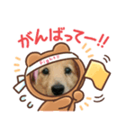 はしもっちゃんスタンプ（個別スタンプ：3）