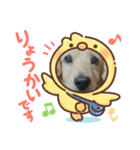 はしもっちゃんスタンプ（個別スタンプ：7）