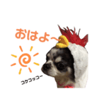ビリーFamily（個別スタンプ：7）