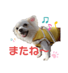 ビリーFamily（個別スタンプ：8）