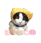 瑠絃くんスタンプ（個別スタンプ：14）