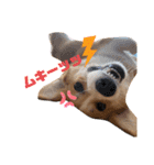 プナのワンだふるらいふ（個別スタンプ：18）