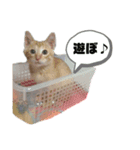 ラムモカ仲良し（個別スタンプ：8）