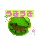 デグーのあられさんの使いやすいスタンプ（個別スタンプ：16）