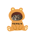 猫ちゃん ウーパールーパー（個別スタンプ：2）