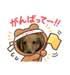 だっくすマロンくん❤（個別スタンプ：5）
