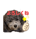 もじゃもじゃの天使さま（個別スタンプ：4）