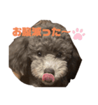 もじゃもじゃの天使さま（個別スタンプ：6）
