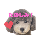 もじゃもじゃの天使さま（個別スタンプ：9）