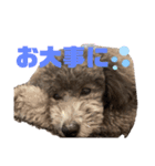 もじゃもじゃの天使さま（個別スタンプ：16）