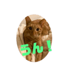Tetu and Hana4（個別スタンプ：7）