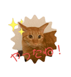 Tetu and Hana4（個別スタンプ：8）