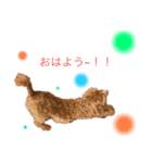 メロンのきもち1（個別スタンプ：2）