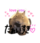 小夏さんの日常で使えるLINEスタンプ♪（個別スタンプ：5）