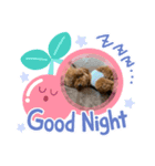 9.もこ（個別スタンプ：6）