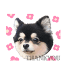 しぷすた（個別スタンプ：1）
