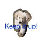 Puppy DEN（個別スタンプ：11）