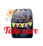 Puppy DEN（個別スタンプ：12）